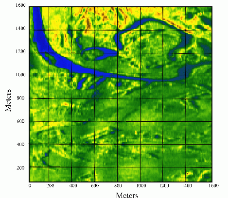 Examples of a real-time radar image of an observation area.