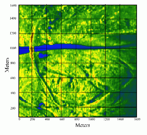 Examples of a real-time radar image of an observation area.